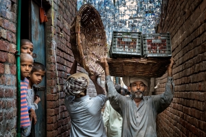 Salon Honorable Mention